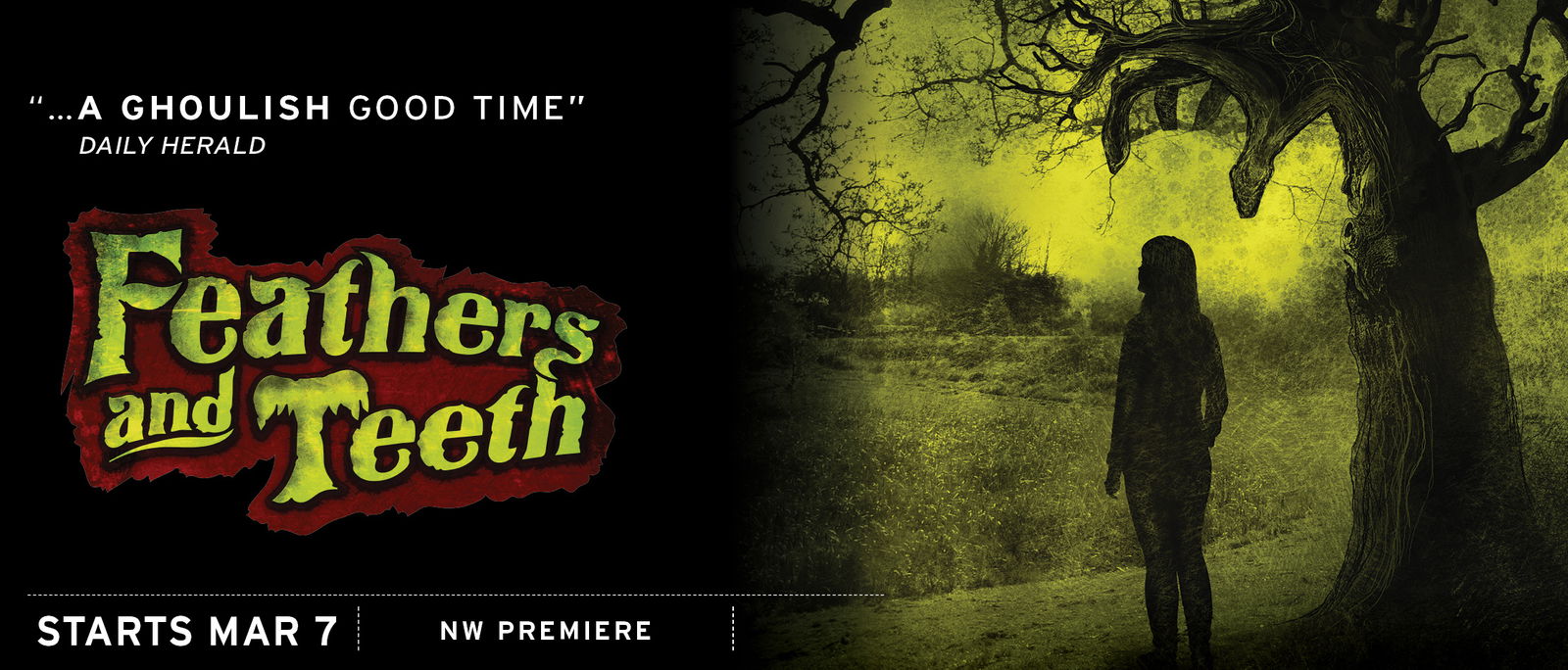 Feathers and Teeth